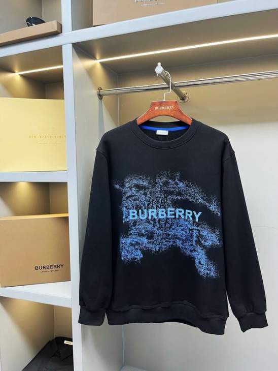 Picture of Burberry Sweatshirt _SKUBurberryS-2XLaztx872130976